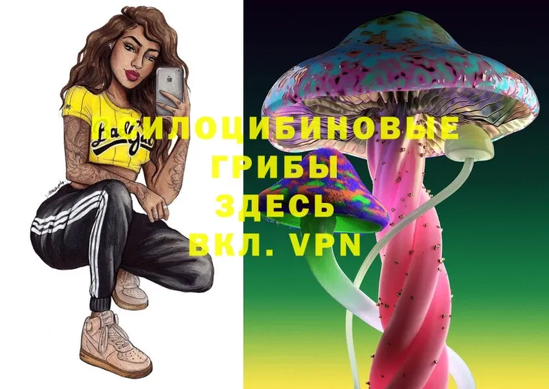 Мефедрон Кольчугино